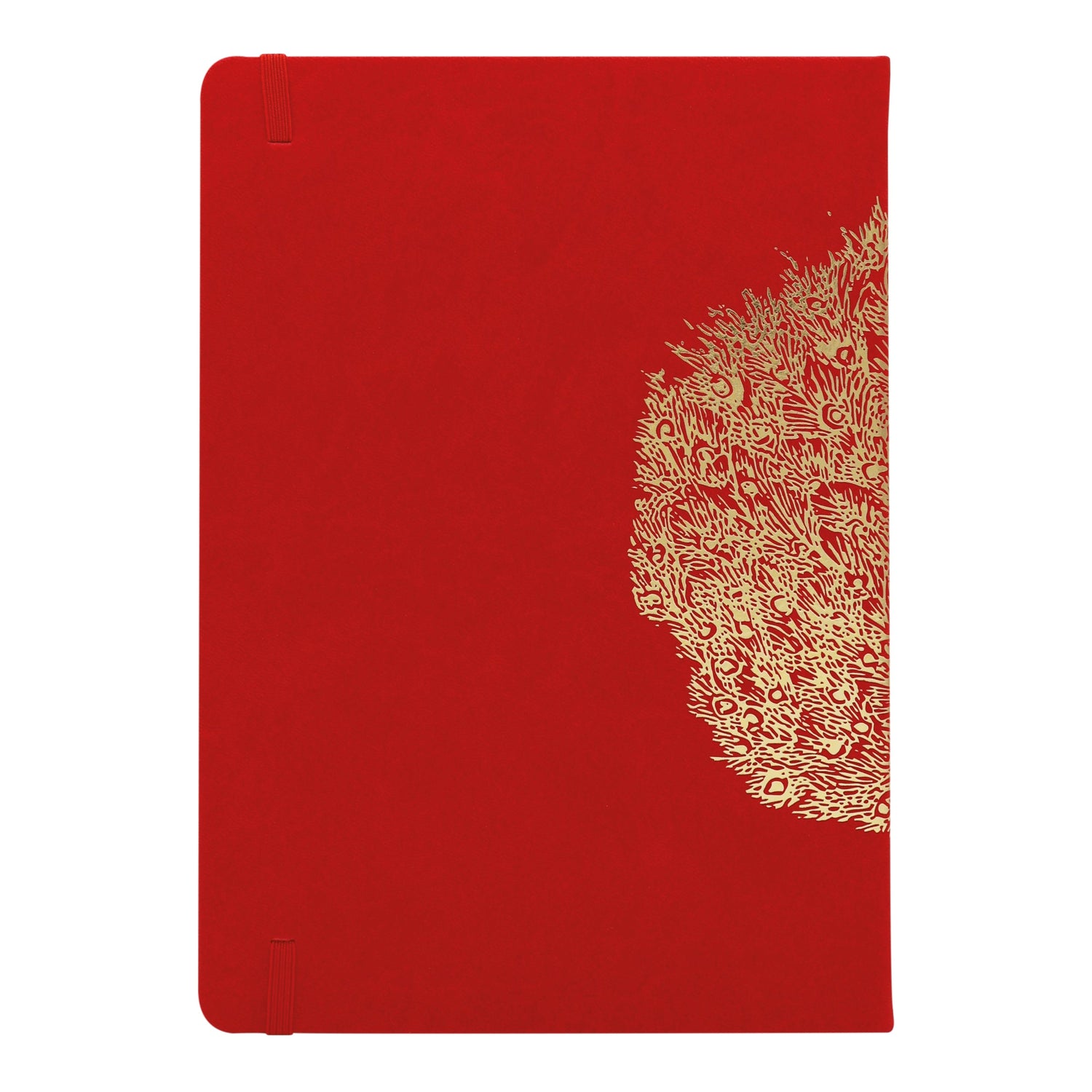 Premium B5 Lined Notebook Journal - Strut Your Stuff Peacock Design