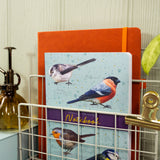 British Birds Notebook & Pen Gift Set