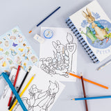 Peter Rabbit Children's Art Activity Wallet