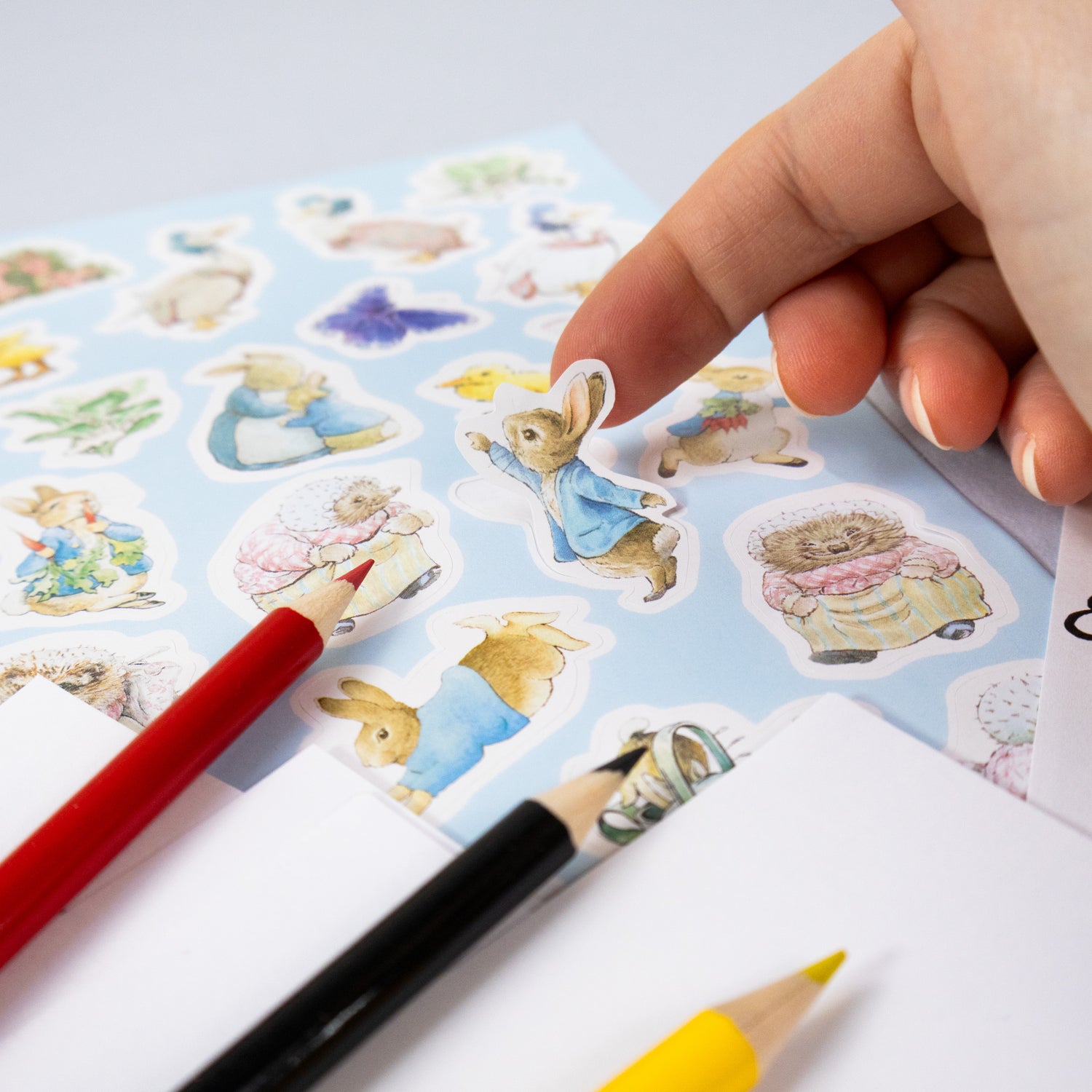 Peter Rabbit Children's Art Activity Wallet