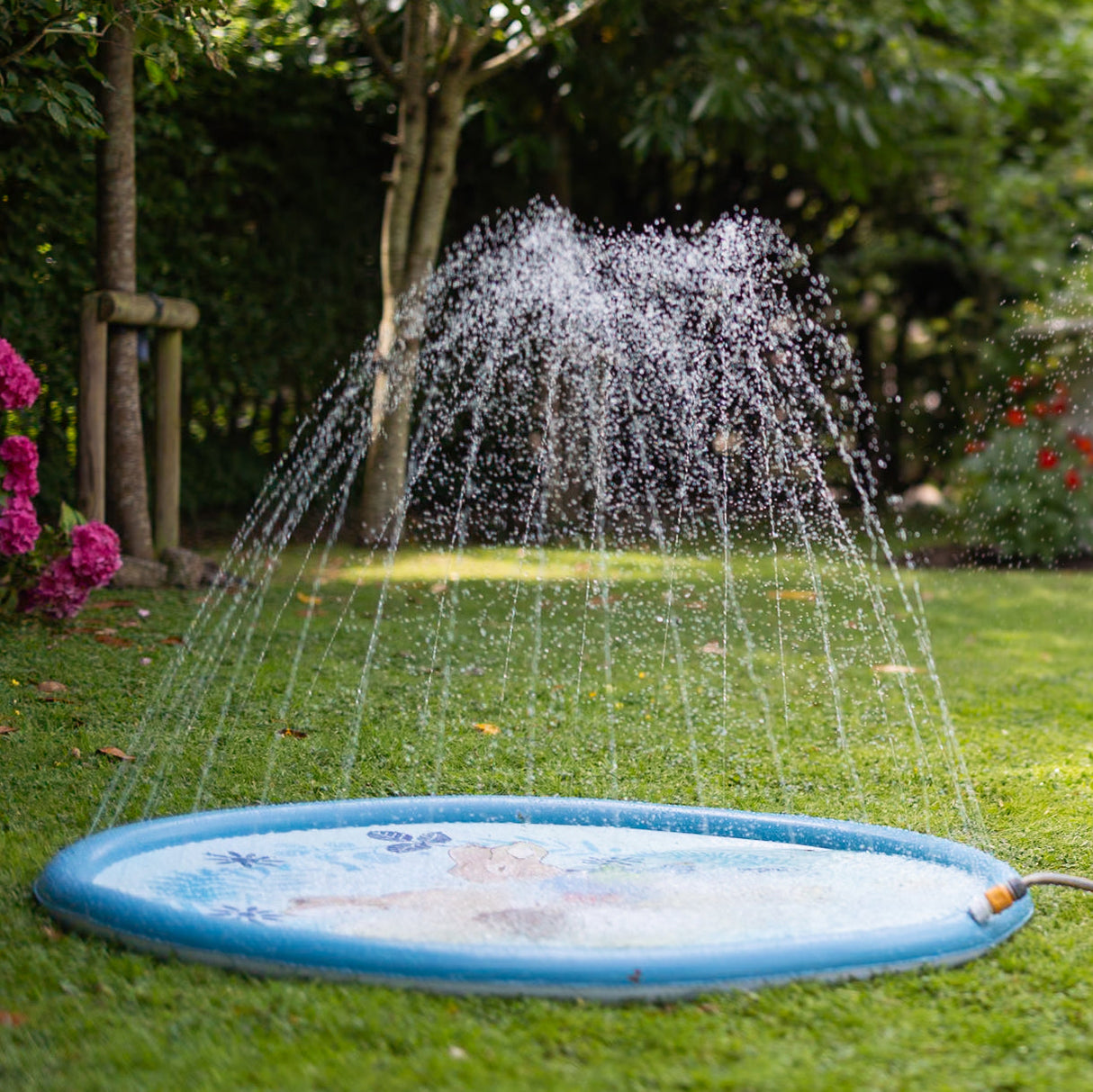 Peter Rabbit Kids Splash Pad