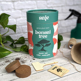 Saje Grow Your Own Bonsai Tree Kit - Includes Seeds, Bio Pots and Coir Pellets