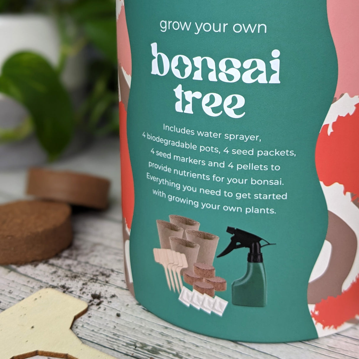 Saje Grow Your Own Bonsai Tree Kit - Includes Seeds, Bio Pots and Coir Pellets