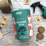 Saje Grow Your Own Bonsai Tree Kit - Includes Seeds, Bio Pots and Coir Pellets