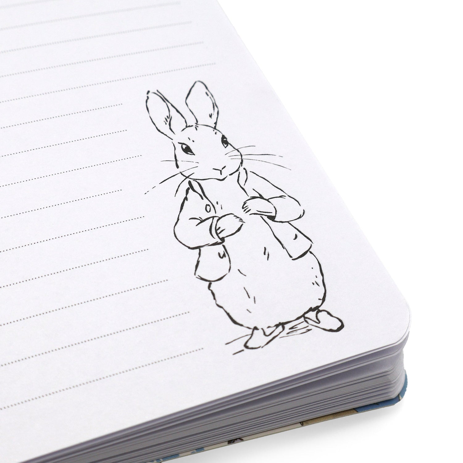 Peter Rabbit Notebook – A5 Forest Picnic Design