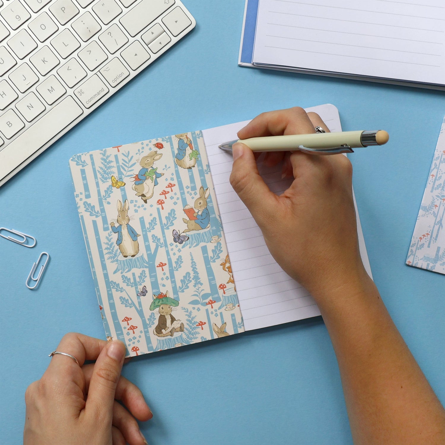 Peter Rabbit Notebook – A6 Forest Picnic Design
