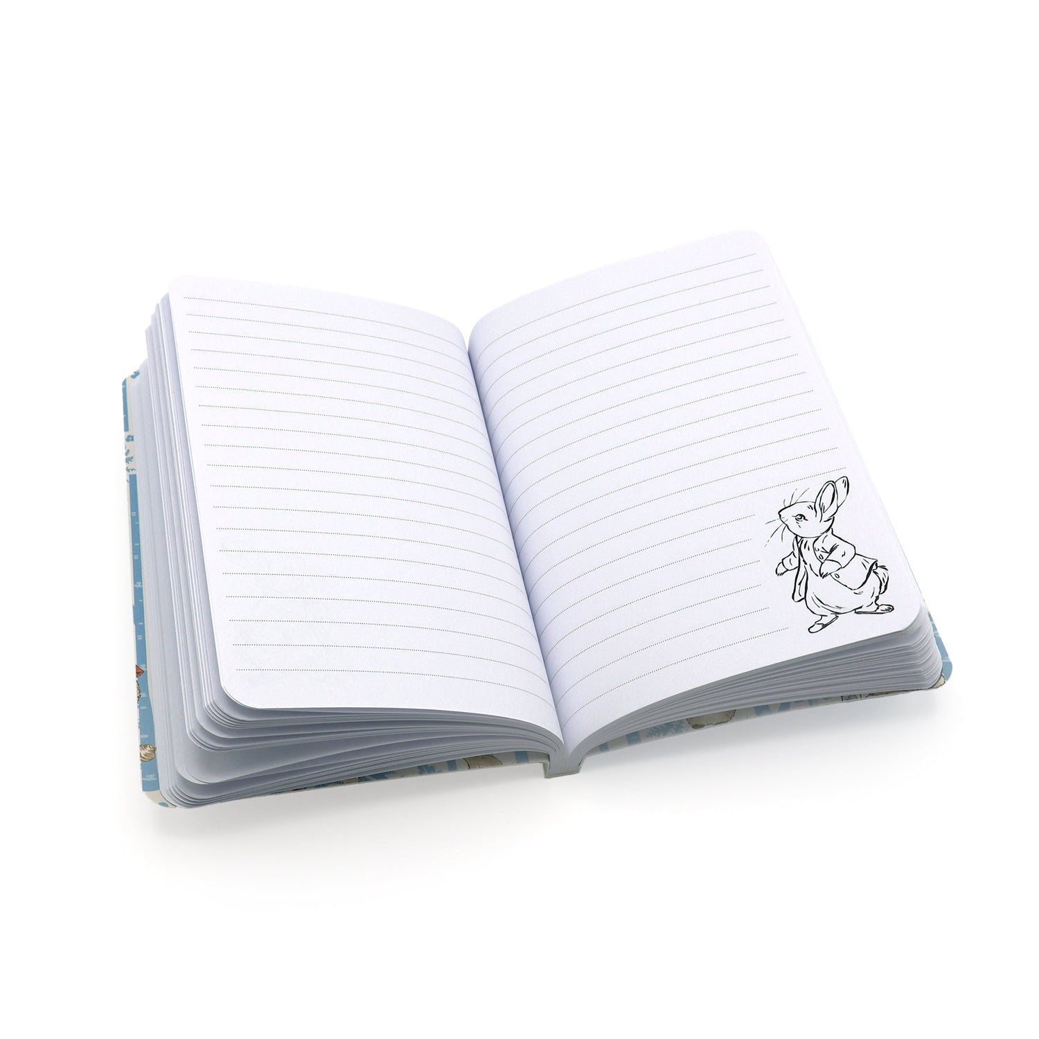 Peter Rabbit Notebook – A6 Forest Picnic Design