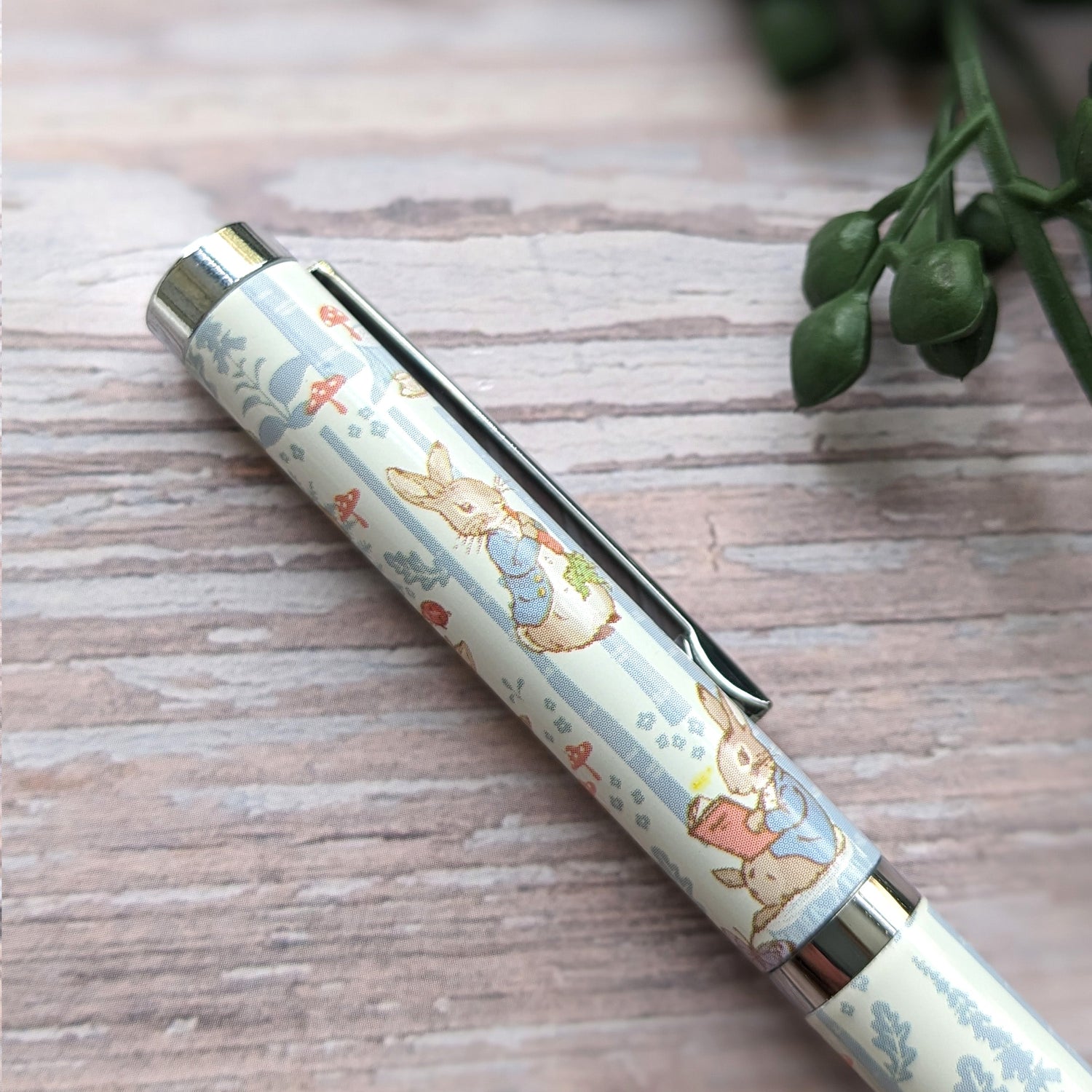 Peter Rabbit Forest Picnic Ballpoint Pen in Gift Box
