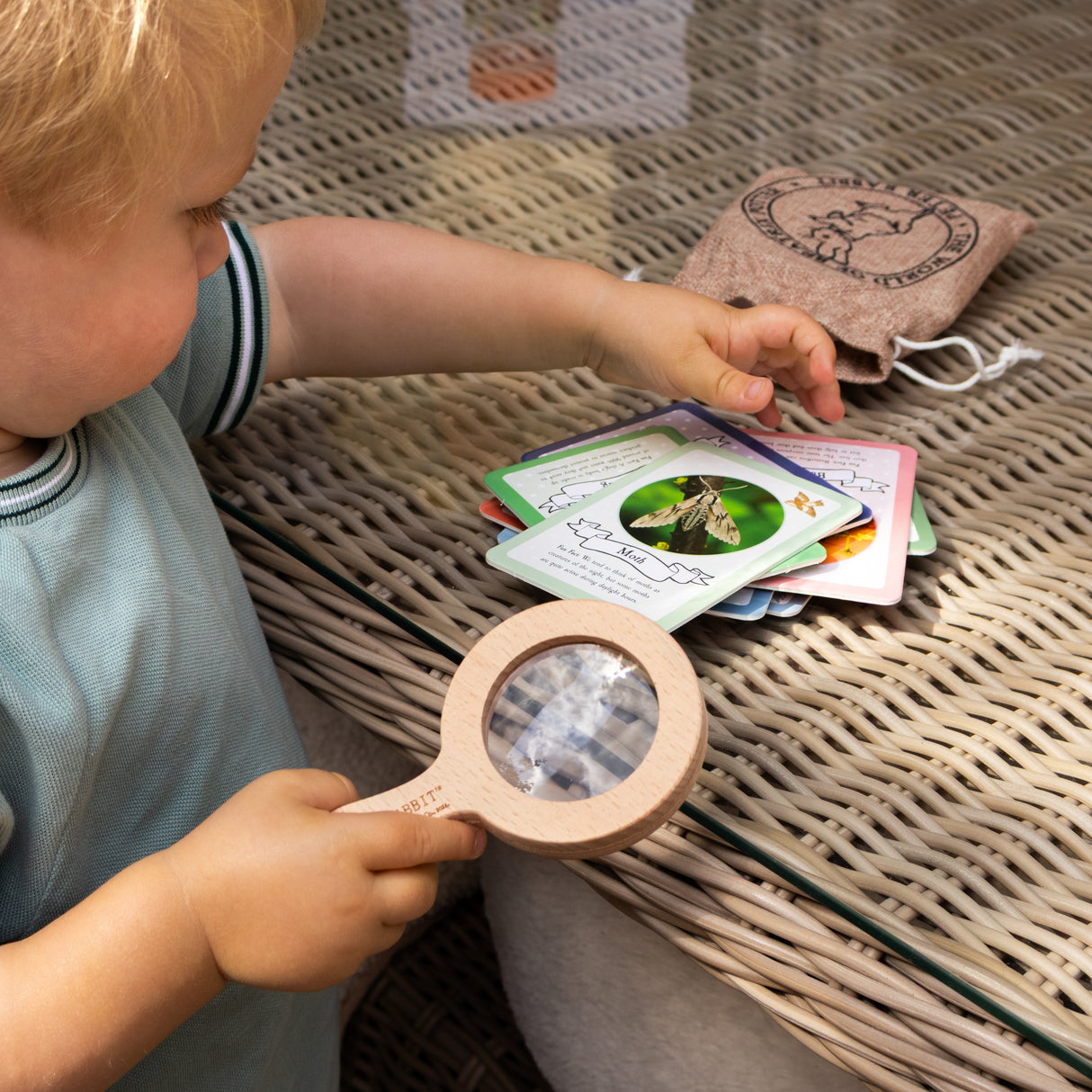 Peter Rabbit Bug Spotter Activity Set
