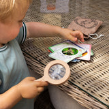Peter Rabbit Bug Spotter Activity Set
