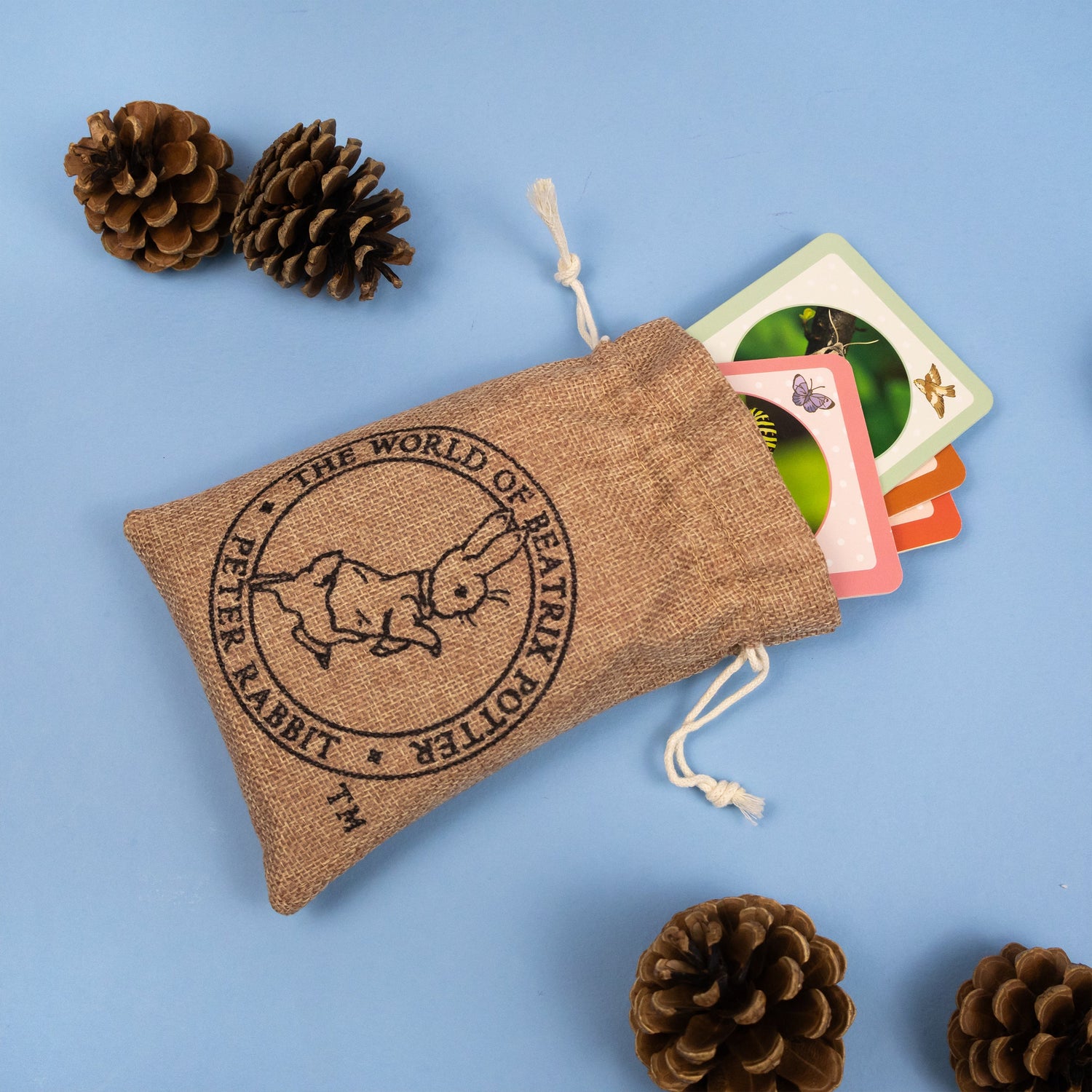 Peter Rabbit Bug Spotter Activity Set