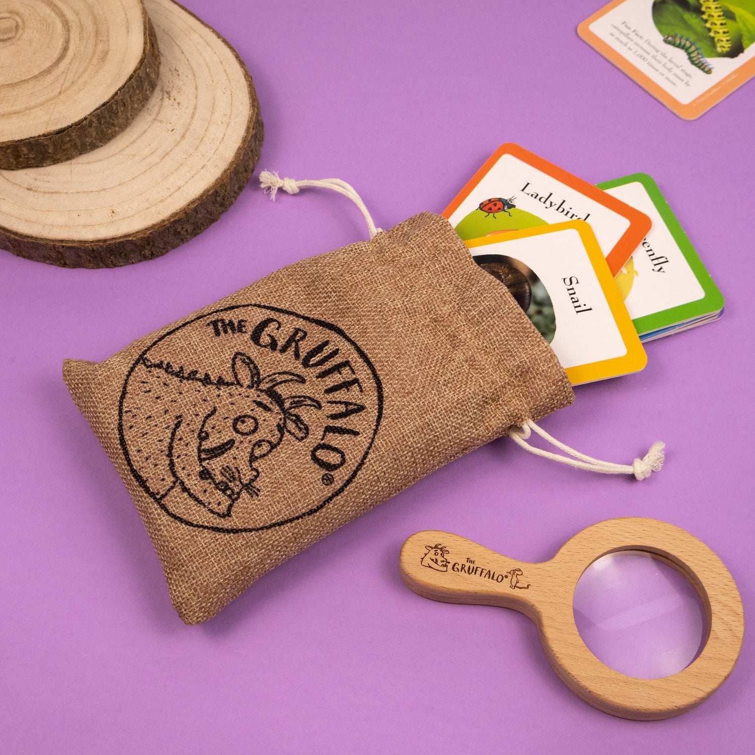 The Gruffalo Bug Spotter Activity Set