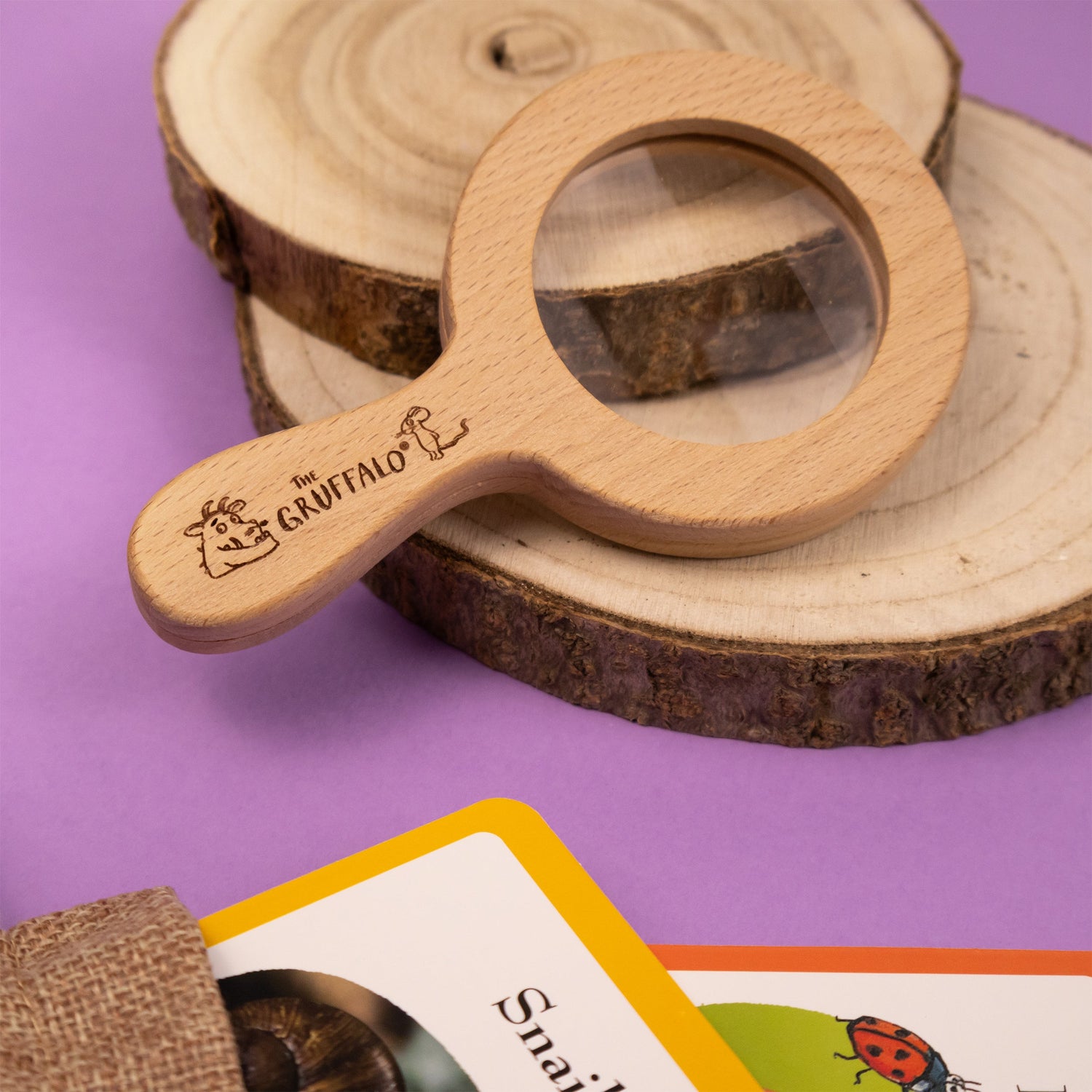 The Gruffalo Bug Spotter Activity Set