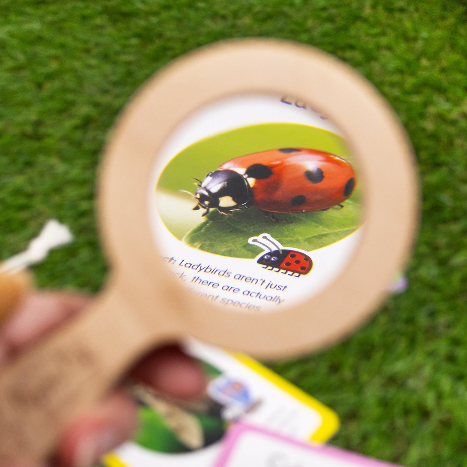 Peppa Pig Bug Spotter Activity Set