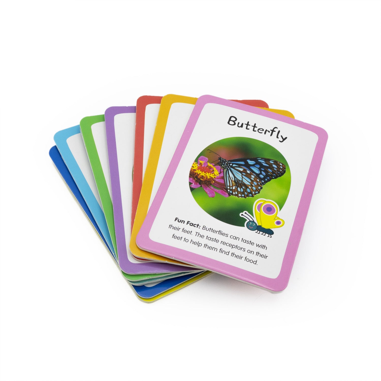 Peppa Pig Bug Spotter Activity Set