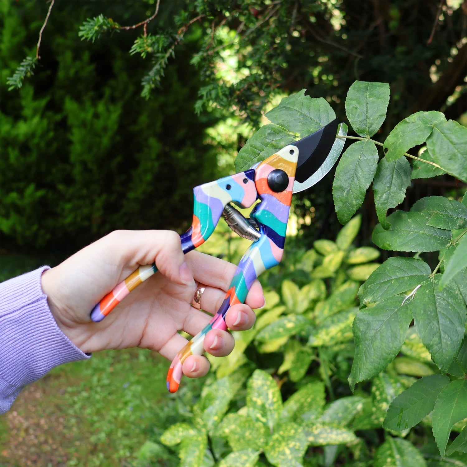 Willow and Belle Secateurs With Pouch – Wiggle Design