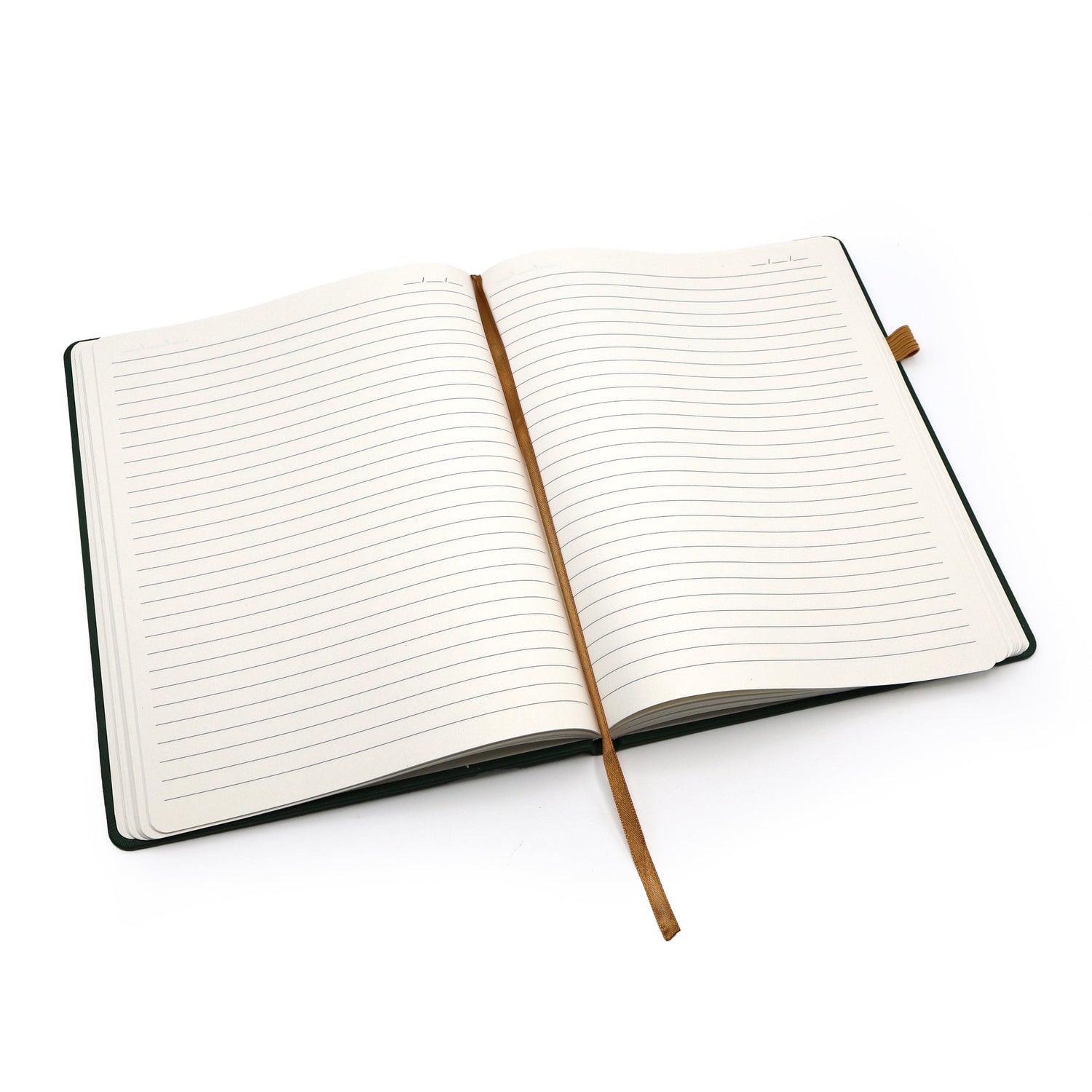 Journal Notebook - Big Ideas B5 Design