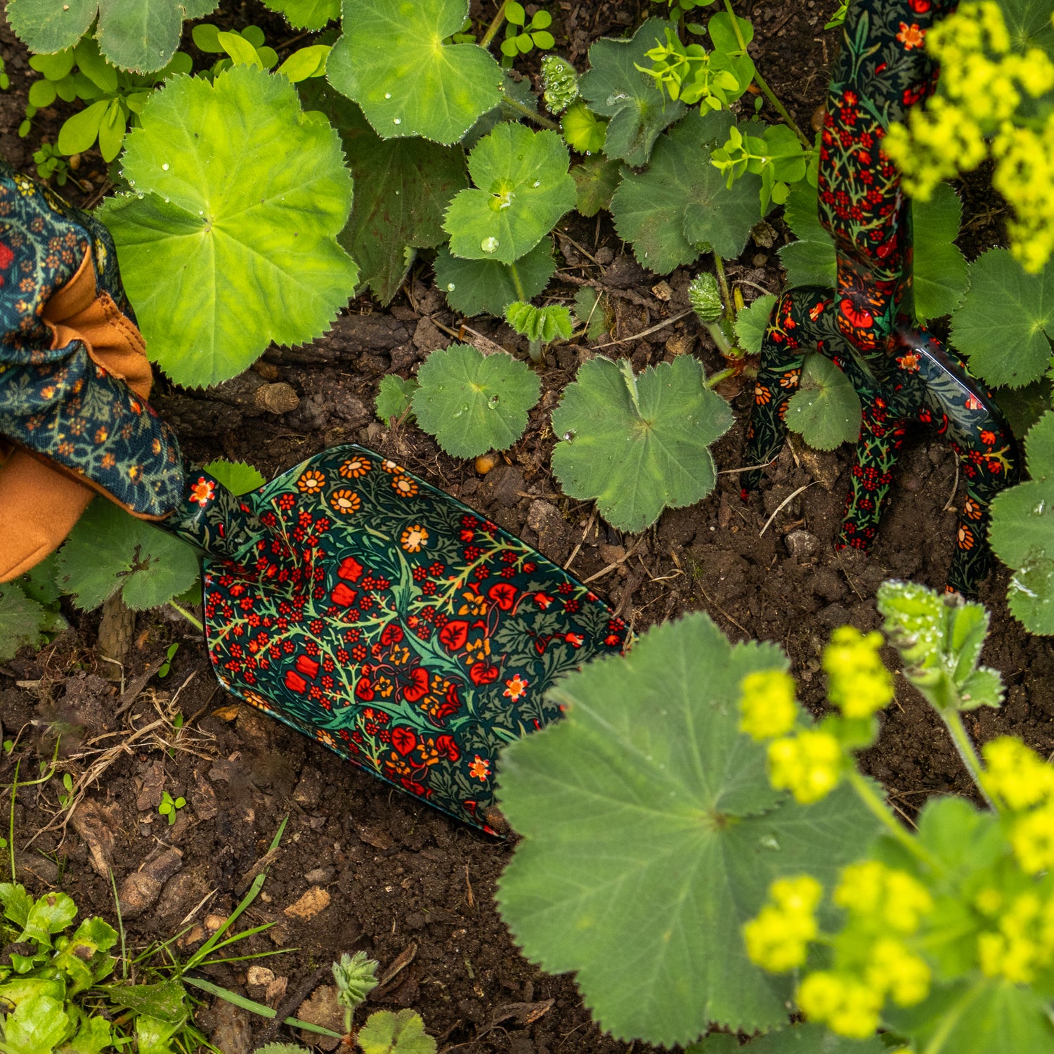 Orange Grove Fork and Trowel Garden Tool Set - William Morris Design
