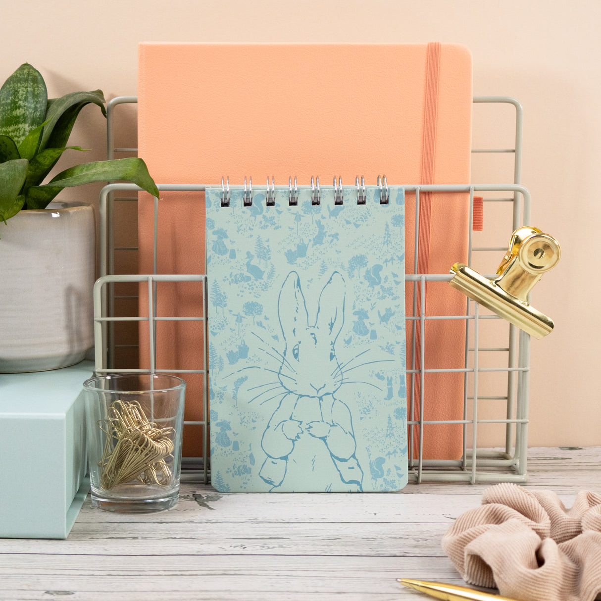 Chunky Notepad Jotter - Peter Rabbit Design