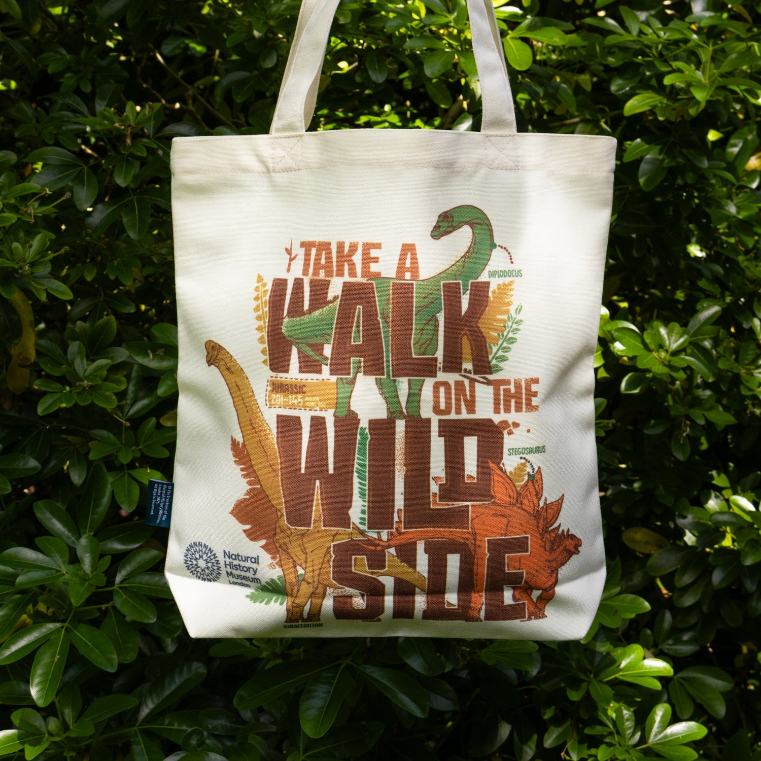 Natural History Museum Dinosaur Tote Bag