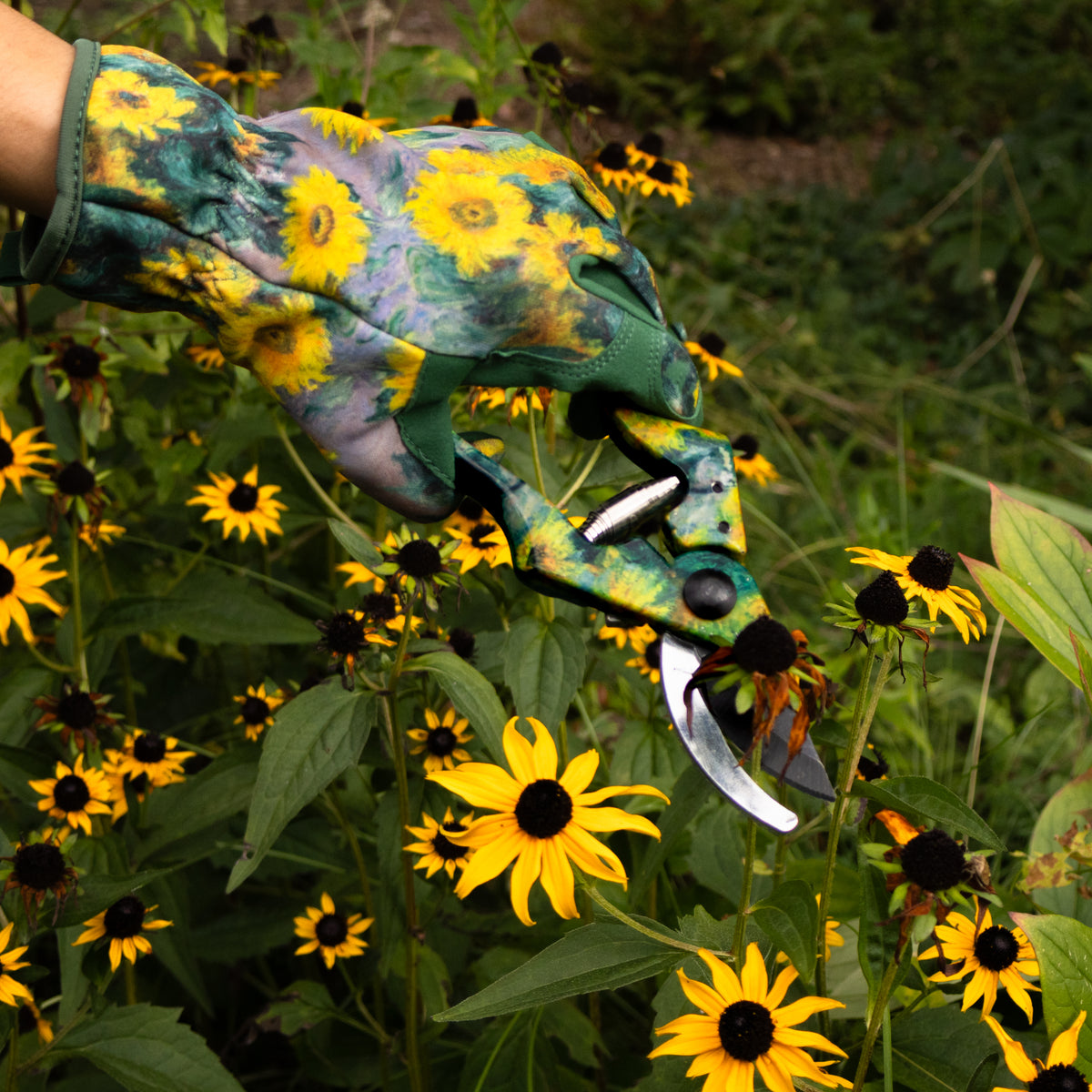 Secateurs - Monet's Bouquet of Sunflowers Design