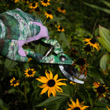 Secateurs - Monet's The Japanese Footbridge Design