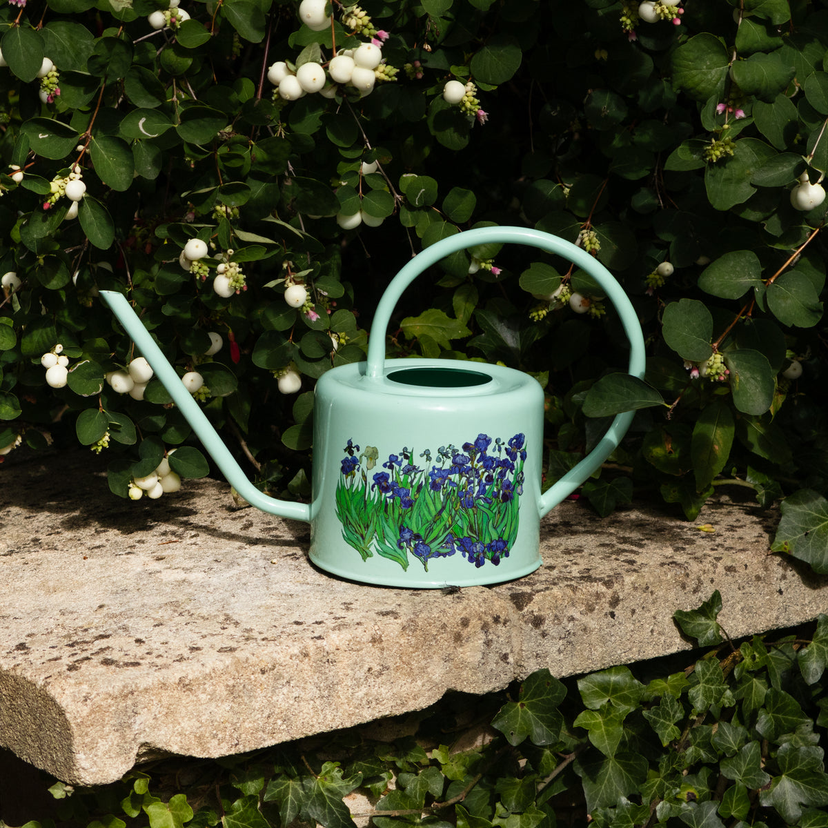 Indoor Watering Can - Van Gogh's Irises Design