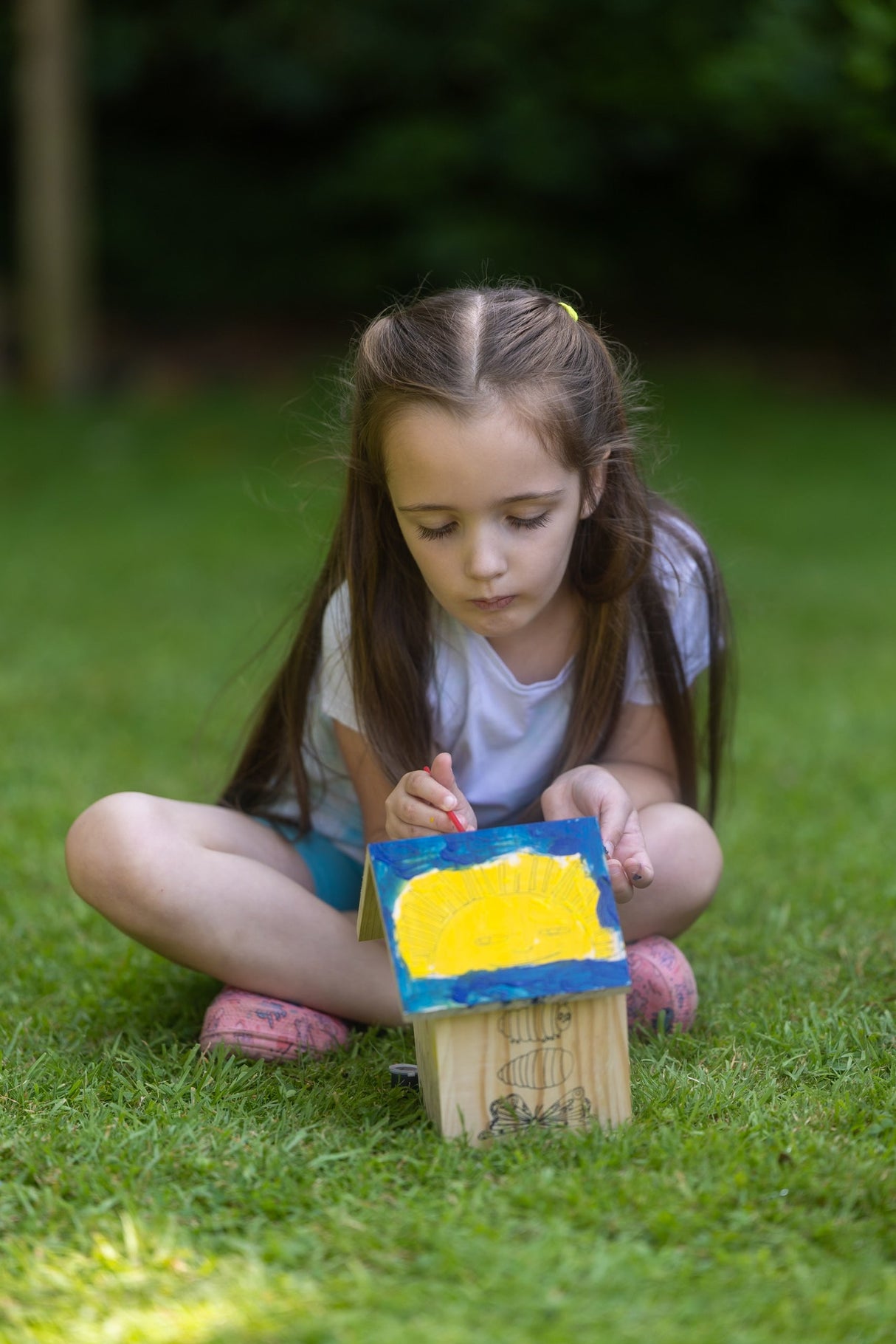 The Very Hungry Caterpillar Paint Your Own Butterfly House