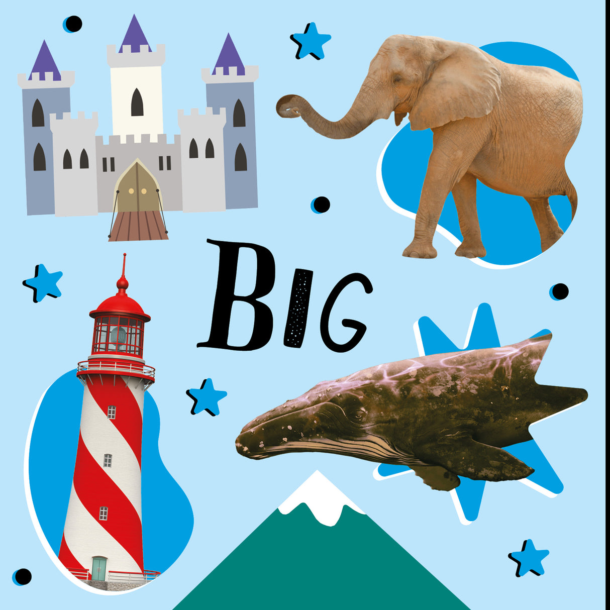 Opposites – My Little Learning Book – Children’s Board Book