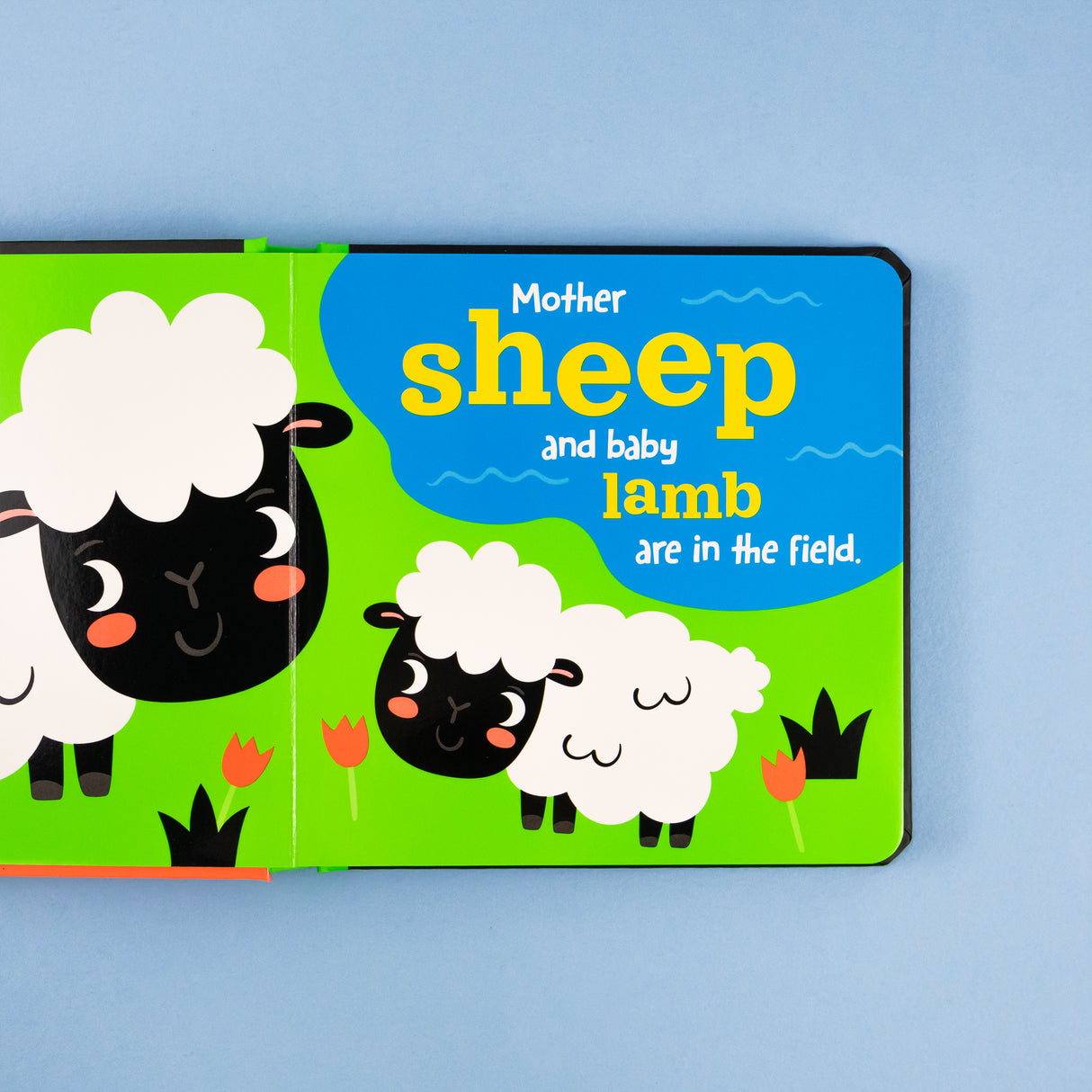 Farm - Explore a Farm-tastic Neon World - Children’s Board Book