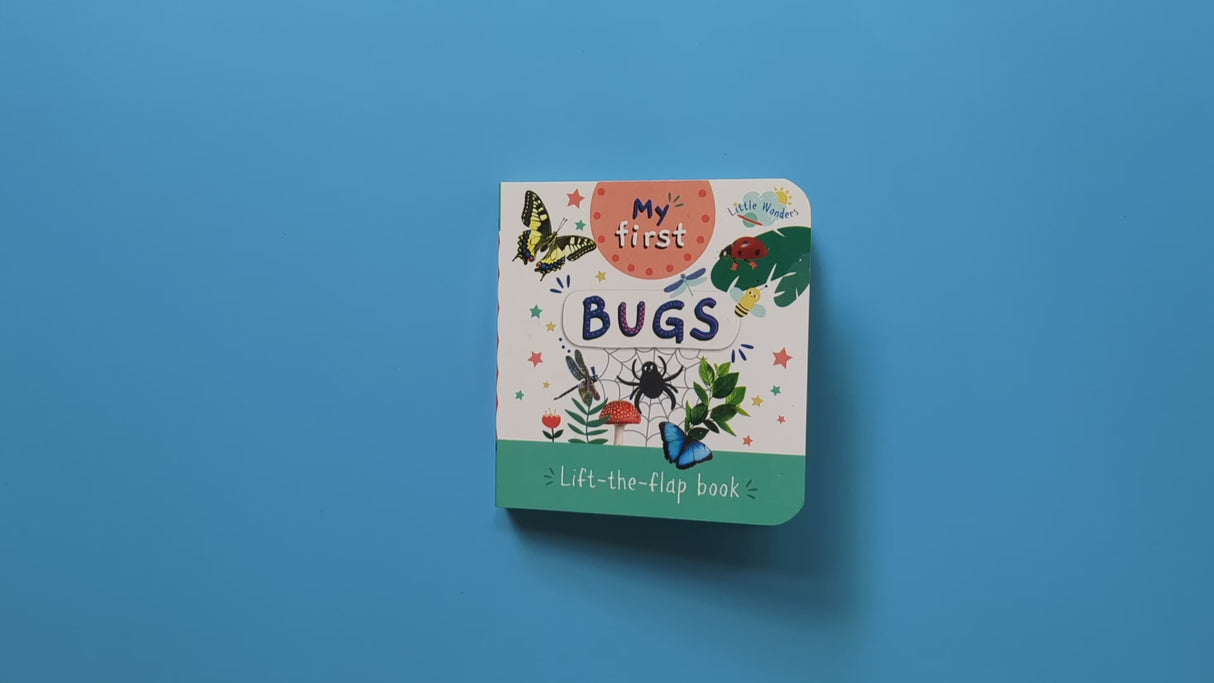 Little Wonders Mini Lift-The-Flap Book: My First Bugs