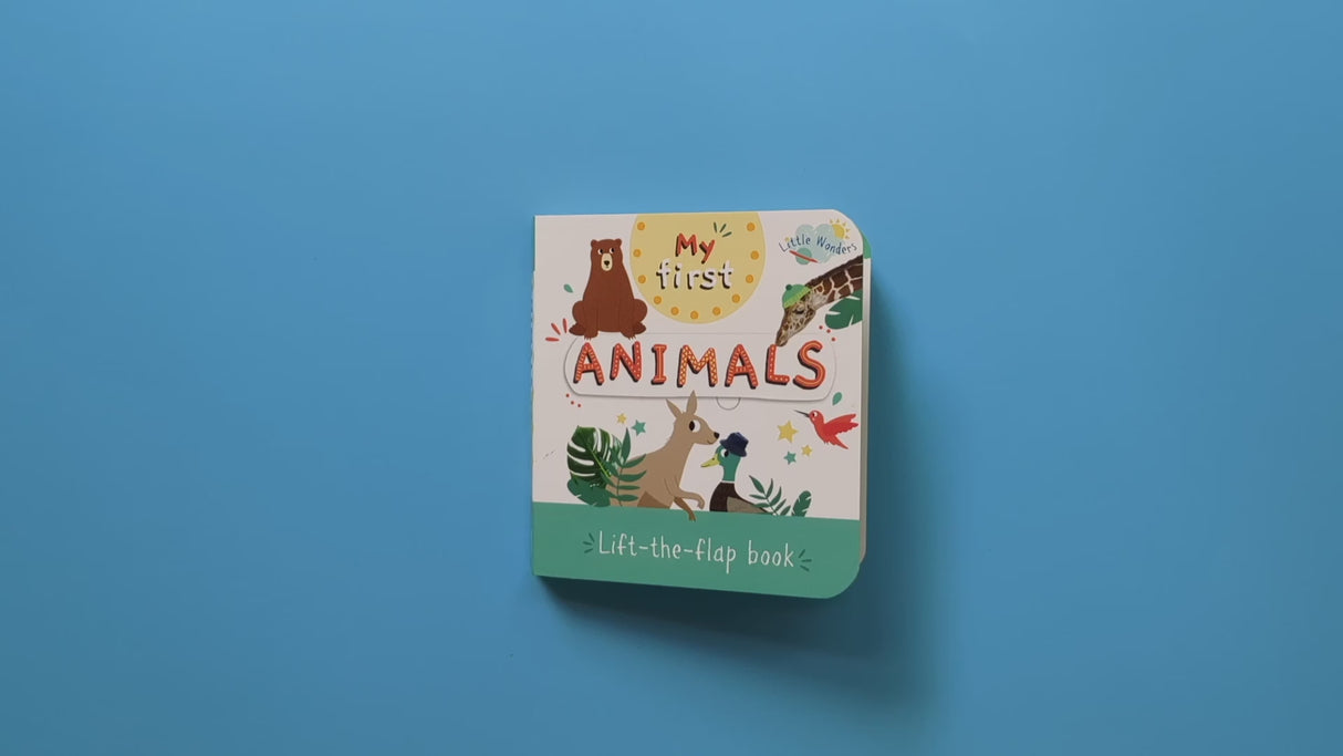 Little Wonders Mini Lift-The-Flap Book: My First Animals