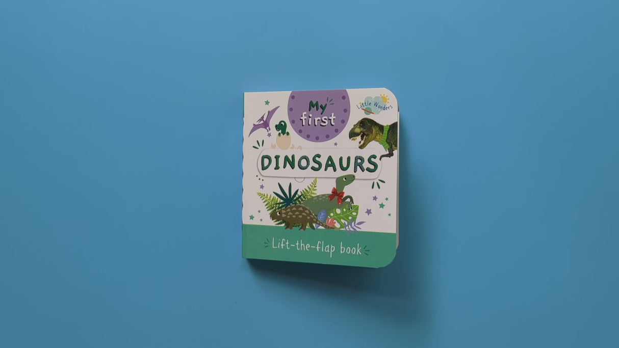 Little Wonders Mini Lift-The-Flap Book: My First Dinosaurs