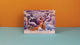 Bible Pop-Up Book - Miracles of the Bible