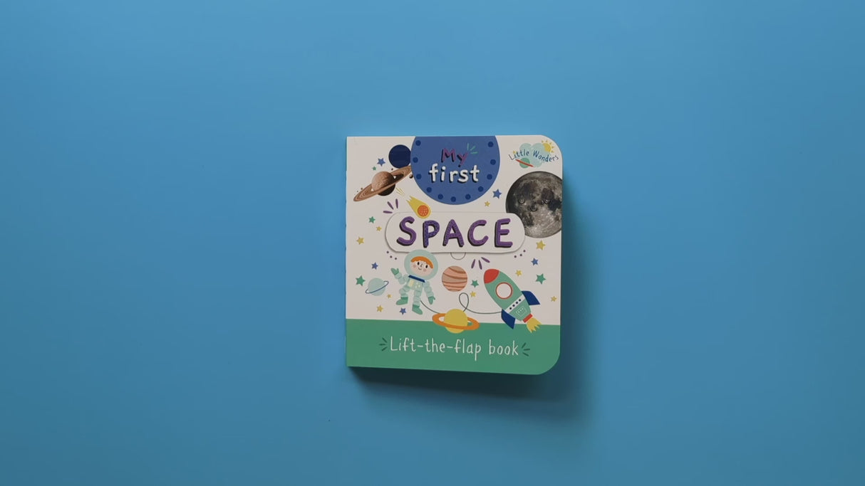 Little Wonders Mini Lift-The-Flap Book: My First Space