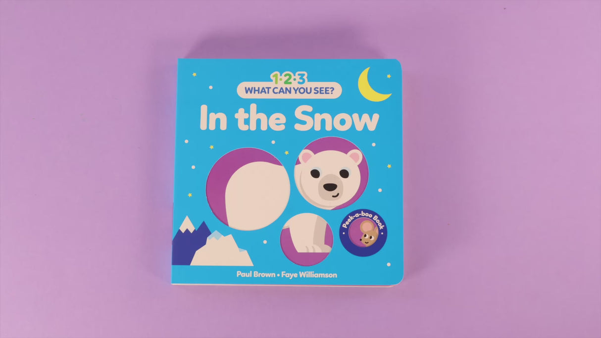 1-2-3 What Can You See? In The Snow - Board Book