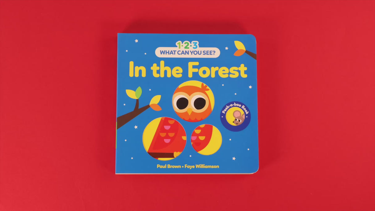 1-2-3 What Can You See? In The Forest – Board Book