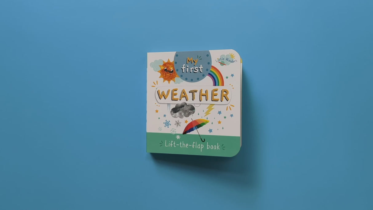 Little Wonders Mini Lift-The-Flap Book: My First Weather