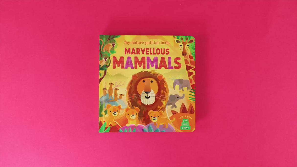 Marvellous Mammals - My Nature Pull-Tab Book